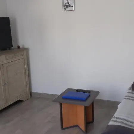 Le Chant Des Oiseaux *