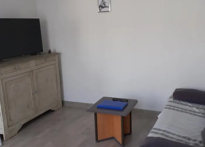 Le Chant Des Oiseaux *